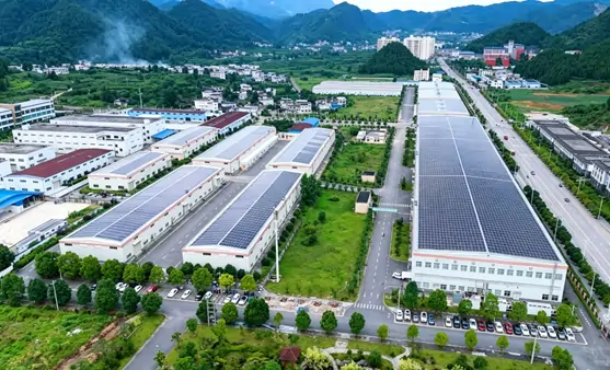 World-Class Matcha Super-Factory