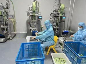 Matcha product packaging