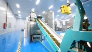 Tea powder processing